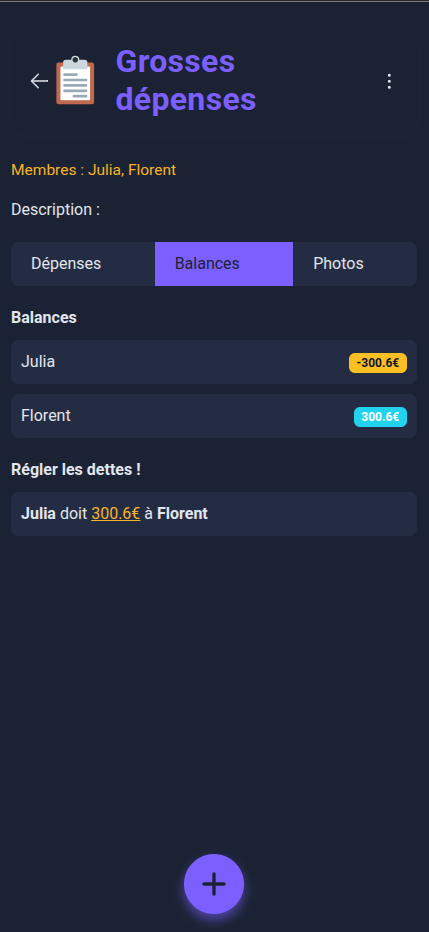Vue Page équilibre des dépenses